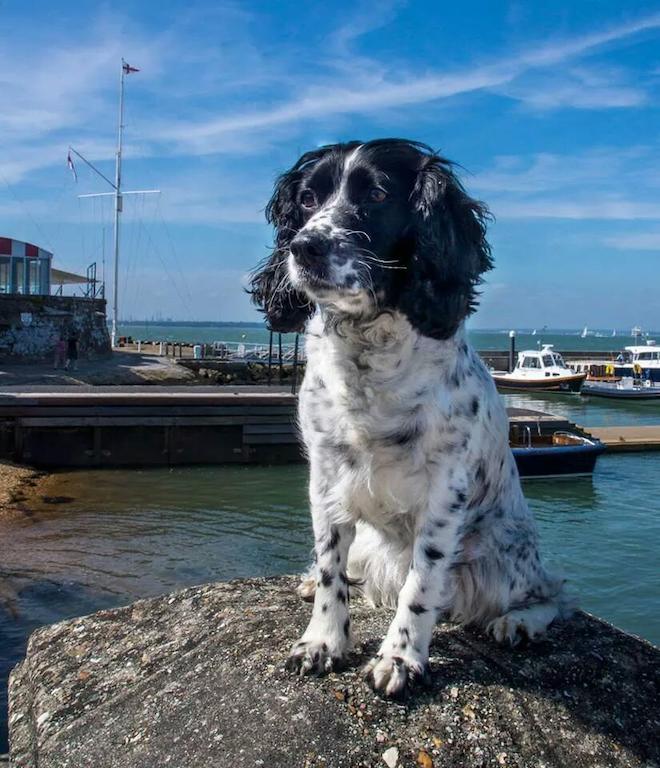 Gray'S Inn Cowes  Exteriér fotografie